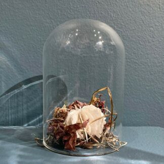 Urchin in Bell Jar | Shop | Jenni Ward ceramic sculpture