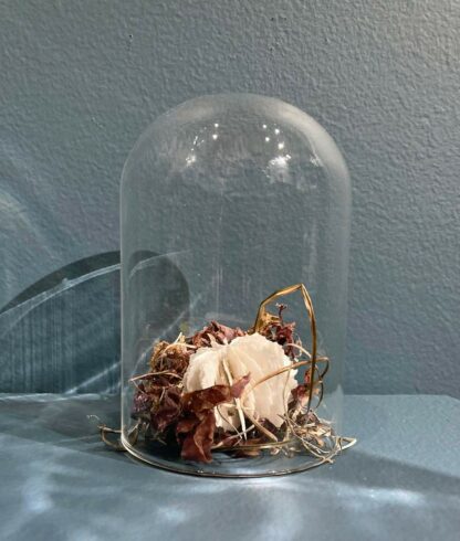 Urchin in Bell Jar | Shop | Jenni Ward ceramic sculpture