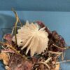 Bodies of Water Exhibit | Shop | Jenni Ward ceramic sculpture
