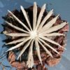 Bodies of Water Exhibit | Shop | Jenni Ward ceramic sculpture