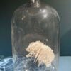 Bodies of Water Exhibit | Shop | Jenni Ward ceramic sculpture