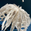 Bodies of Water Exhibit | Shop | Jenni Ward ceramic sculpture