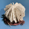 Urchin in Bell Jar | Shop | Jenni Ward ceramic sculpture