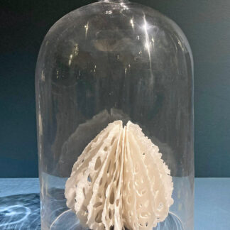 Urchin in Bell Jar | Shop | Jenni Ward ceramic sculpture