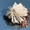 Bodies of Water Exhibit | Shop | Jenni Ward ceramic sculpture