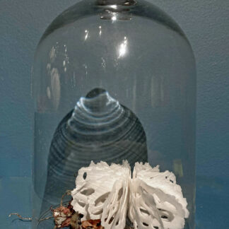 Urchin in Bell Jar | Shop | Jenni Ward ceramic sculpture