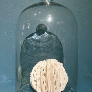 Urchin in Bell Jar | Shop | Jenni Ward ceramic sculpture