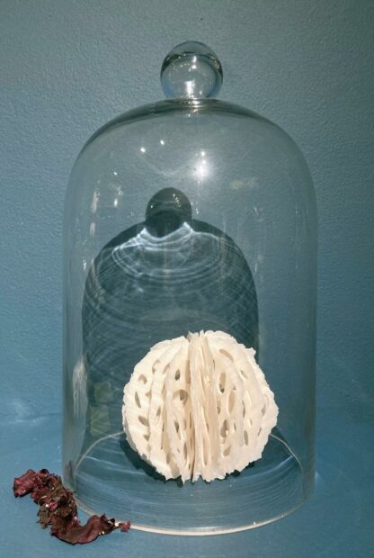 Urchin in Bell Jar | Shop | Jenni Ward ceramic sculpture