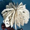 Bodies of Water Exhibit | Shop | Jenni Ward ceramic sculpture