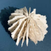 Bodies of Water Exhibit | Shop | Jenni Ward ceramic sculpture