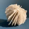 Urchin in Bell Jar | Shop | Jenni Ward ceramic sculpture