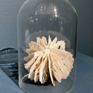 Urchin in Bell Jar | Shop | Jenni Ward ceramic sculpture