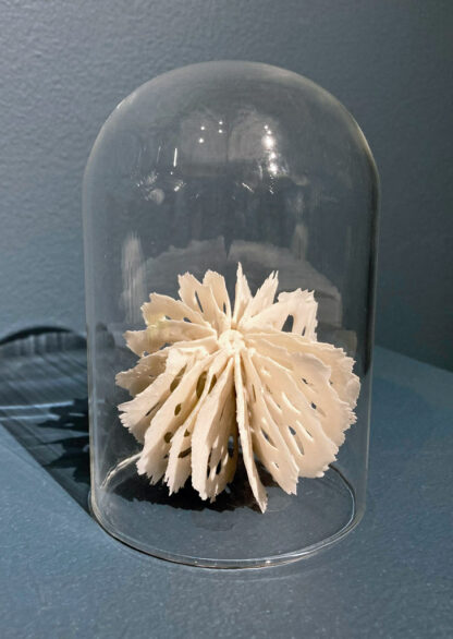 Urchin in Bell Jar | Shop | Jenni Ward ceramic sculpture