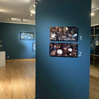 Bodies of Water Exhibit | Shop | Jenni Ward ceramic sculpture