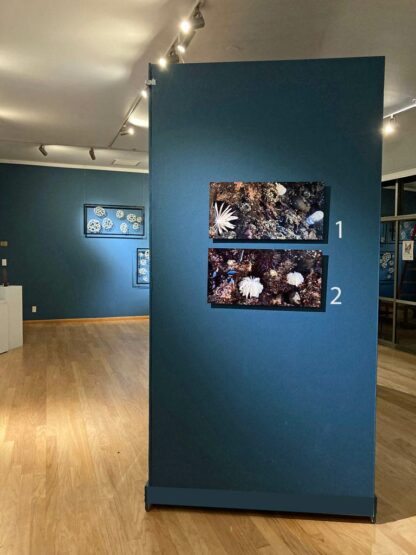 Bodies of Water Exhibit | Shop | Jenni Ward ceramic sculpture