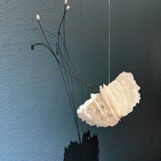 bone series: hanging medusas