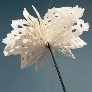 Bodies of Water Exhibit | Shop | Jenni Ward ceramic sculpture