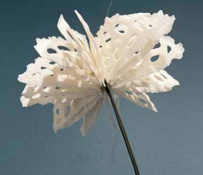 Bodies of Water Exhibit | Shop | Jenni Ward ceramic sculpture
