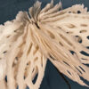 Bodies of Water Exhibit | Shop | Jenni Ward ceramic sculpture