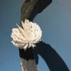 Bodies of Water Exhibit | Shop | Jenni Ward ceramic sculpture