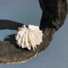 Bodies of Water Exhibit | Shop | Jenni Ward ceramic sculpture