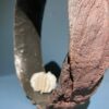 Bodies of Water Exhibit | Shop | Jenni Ward ceramic sculpture