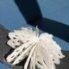 Bodies of Water Exhibit | Shop | Jenni Ward ceramic sculpture