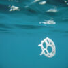 Bodies of Water Exhibit | Shop | Jenni Ward ceramic sculpture