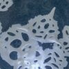 Water Droplets | Shop | Jenni Ward ceramic sculpture