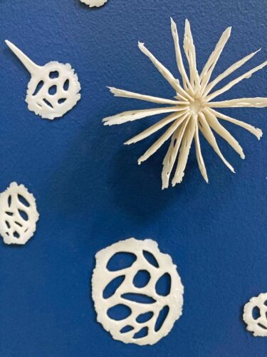 Radiolarian Circle | installations | Jenni Ward ceramic sculpture