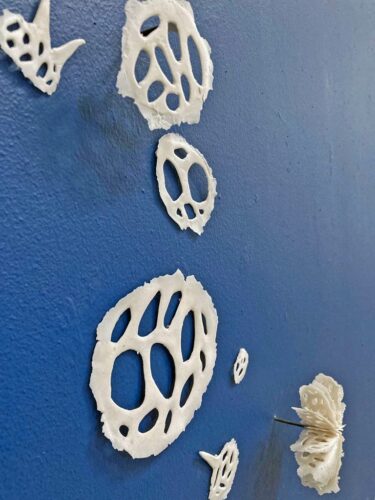 Radiolarian Circle | installations | Jenni Ward ceramic sculpture