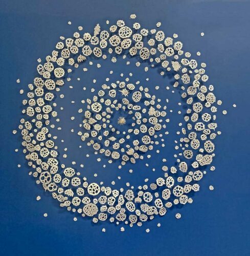 Radiolarian Water Drop | installations | Jenni Ward ceramic sculpture