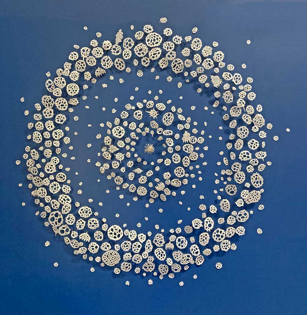 Radiolarian Water Drop | installations | Jenni Ward ceramic sculpture
