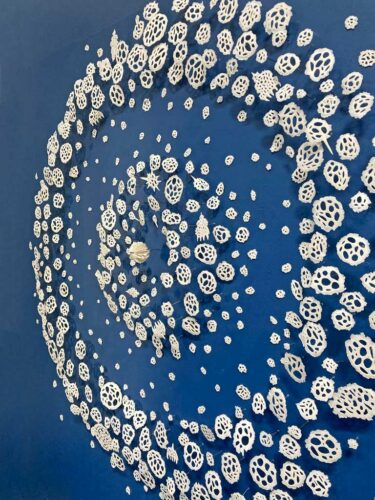 Radiolarian Water Drop | installations | Jenni Ward ceramic sculpture