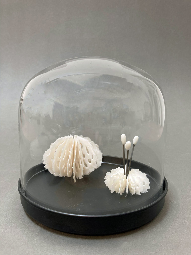 Urchin + Medusa in Bell Jar | Shop | Jenni Ward ceramic sculpture