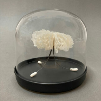 Medusa in Bell Jar | Shop | Jenni Ward ceramic sculpture