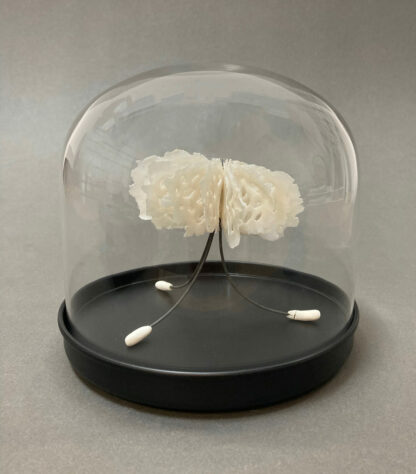 Medusa in Bell Jar | Shop | Jenni Ward ceramic sculpture