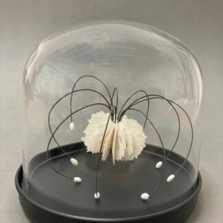 Medusa in Bell Jar | Shop | Jenni Ward ceramic sculpture