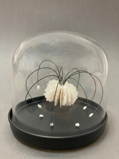 Medusa in Bell Jar | Shop | Jenni Ward ceramic sculpture