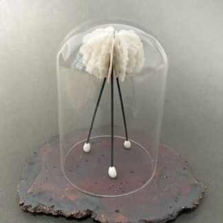 Medusa in Bell Jar | Shop | Jenni Ward ceramic sculpture