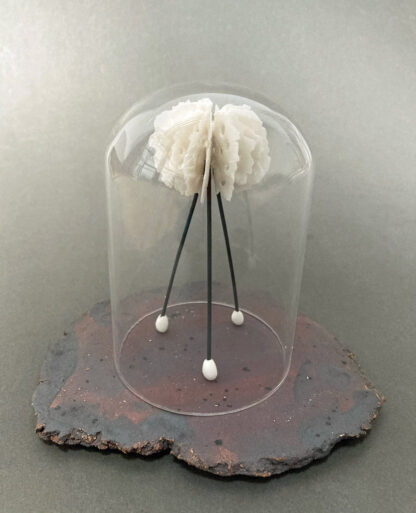 Medusa in Bell Jar | Shop | Jenni Ward ceramic sculpture