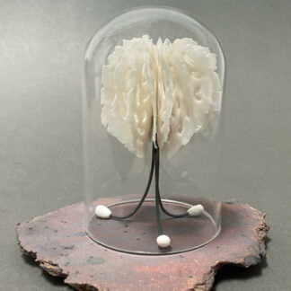 Medusa in Bell Jar | Shop | Jenni Ward ceramic sculpture