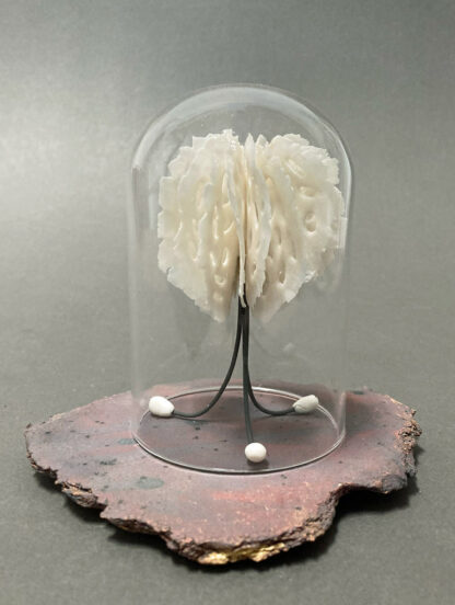 Medusa in Bell Jar | Shop | Jenni Ward ceramic sculpture