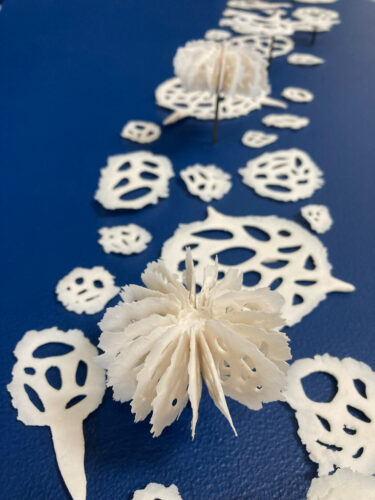 Marine Drifters | Public Art | Jenni Ward ceramic sculpture