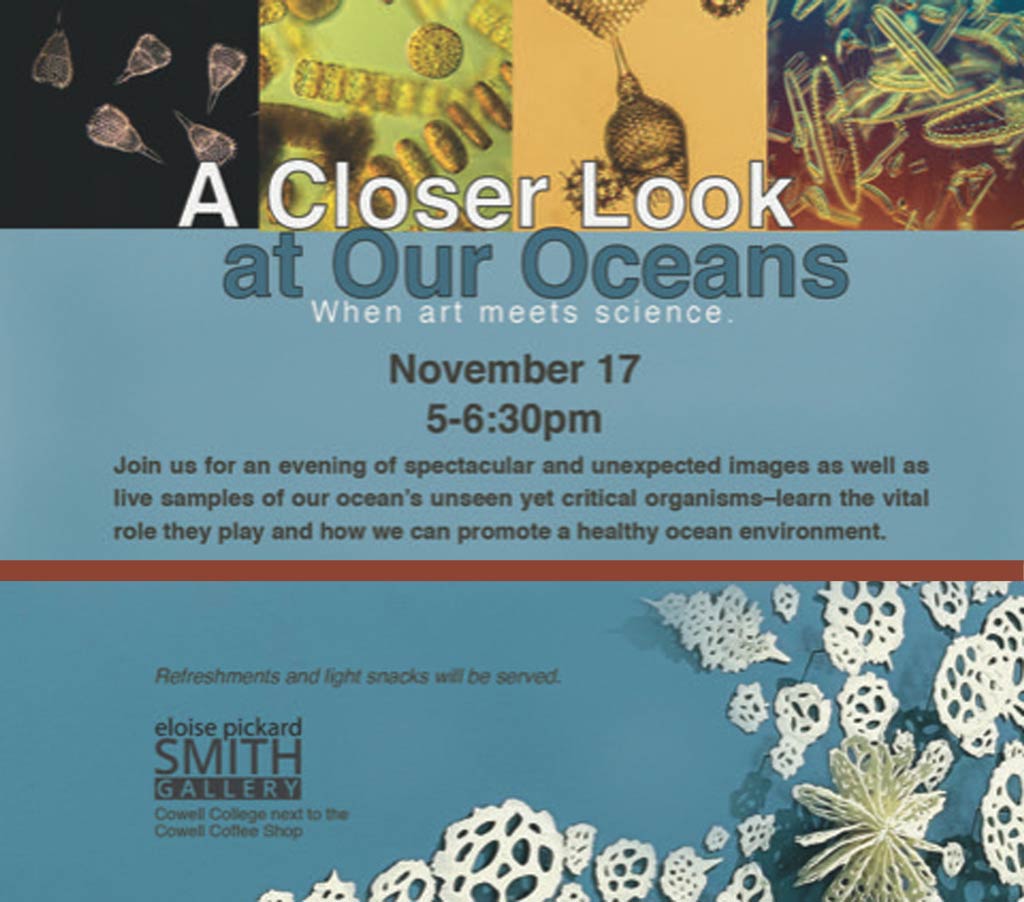 A Closer Look At Our Oceans | events | Jenni Ward ceramic sculpture