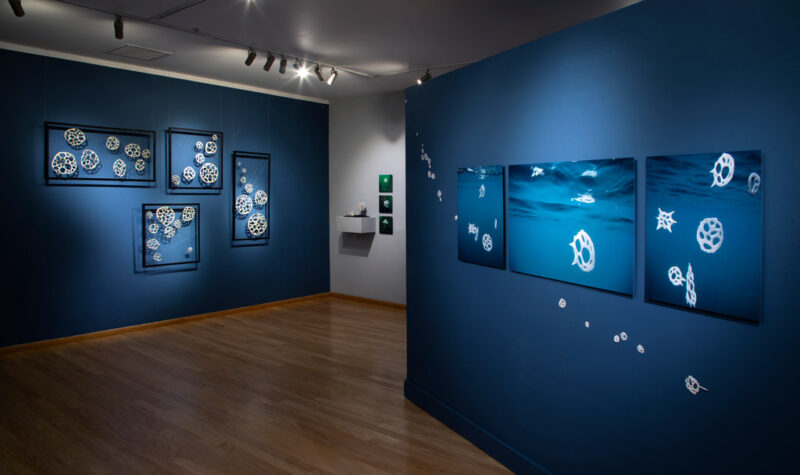 Bodies of Water | Installations | Jenni Ward ceramic sculpture