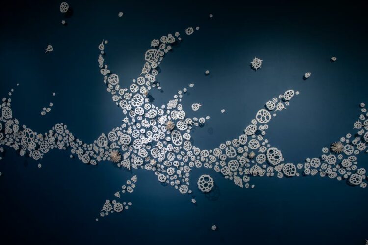 Bodies of Water | Installations | Jenni Ward ceramic sculpture