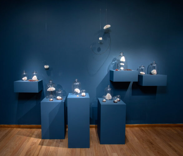 Bodies of Water | Installations | Jenni Ward ceramic sculpture