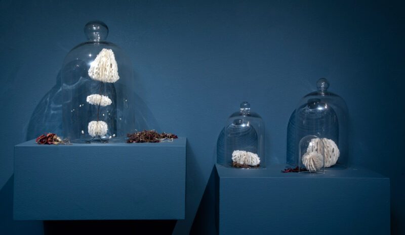 Bodies of Water | Installations | Jenni Ward ceramic sculpture