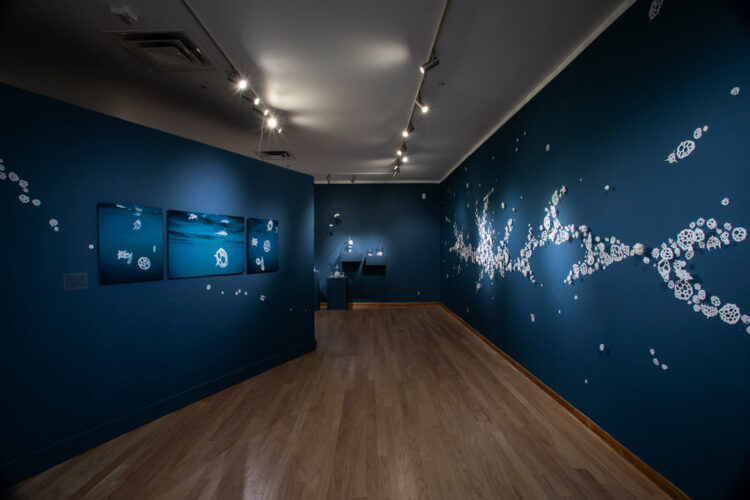 Bodies of Water | Installations | Jenni Ward ceramic sculpture
